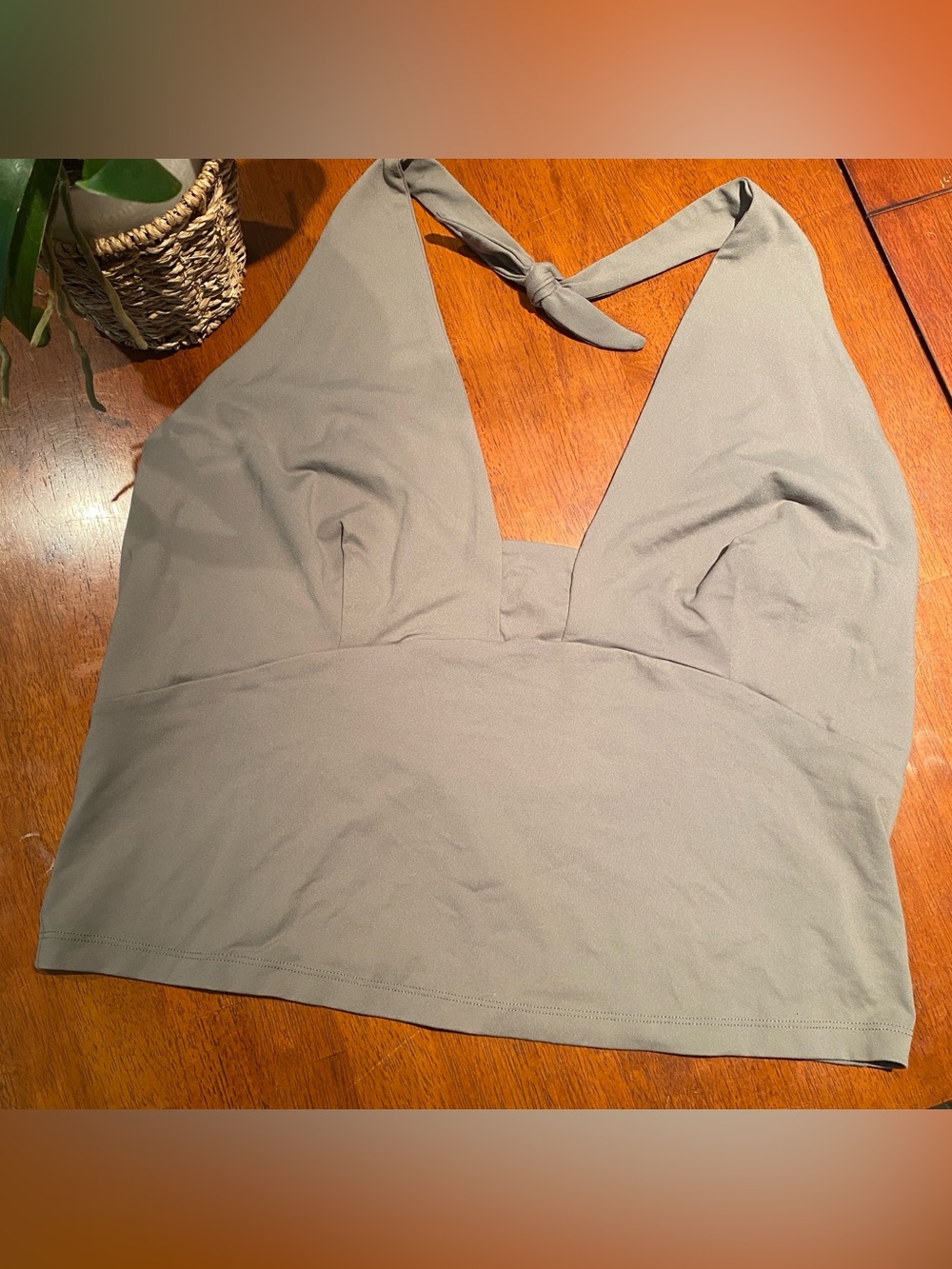 Anthropologie 1X Moss Halter Crop Top NWT Plunge Neck Bralette Tank Plus